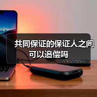 共同保证的保证人之间可以追偿吗（图1）