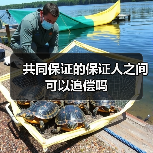共同保证的保证人之间可以追偿吗（图4）