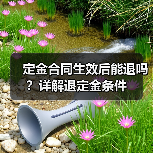 定金合同生效后能退吗?详解退定金条件(图3) 定金合同生效后能退吗?详解退定金条件(图3)