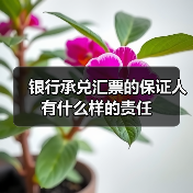银行承兑汇票的保证人有什么样的责任(图1) 银行承兑汇票的保证人有什么样的责任(图1)