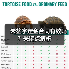 未签字定金合同有效吗?关键点解析(图2) 未签字定金合同有效吗?关键点解析(图2)