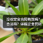 没收定金合同有效吗?合法吗?详解定金罚则与违约责任(图2) 没收定金合同有效吗?合法吗?详解定金罚则与违约责任(图2)
