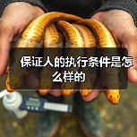 保证人的执行条件是怎么样的（图2）