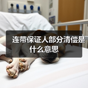 连带保证人部分清偿是什么意思（图1）