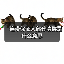 连带保证人部分清偿是什么意思（图4）