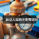 保证人写的欠条有效吗（图1）