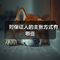 对保证人的主张方式有哪些（图2）