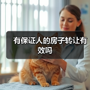 有保证人的房子转让有效吗(图4) 有保证人的房子转让有效吗(图4)