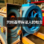 共同连带保证人的概念（图1）