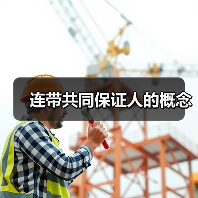 连带共同保证人的概念（图1）