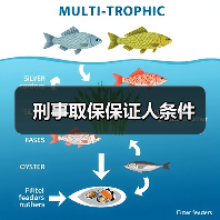 刑事取保保证人条件（图1）