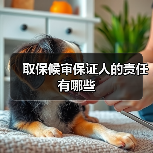 取保候审保证人的责任有哪些（图1）