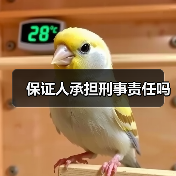 保证人承担刑事责任吗(图1) 保证人承担刑事责任吗(图1)