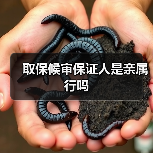 取保候审保证人是亲属行吗（图2）
