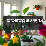 取保候审保证人要几个人（图2）