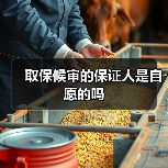 取保候审的保证人是自愿的吗（图3）