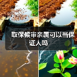 取保候审亲属可以当保证人吗（图2）