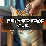 律师能做取保候审的保证人吗(图3) 律师能做取保候审的保证人吗(图3)