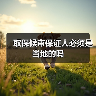 取保候审保证人必须是当地的吗（图4）