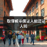 取保候审保证人能是证人吗（图4）