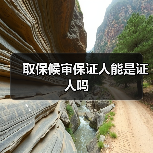 取保候审保证人能是证人吗（图3）