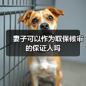 妻子可以作为取保候审的保证人吗(图3) 妻子可以作为取保候审的保证人吗(图3)