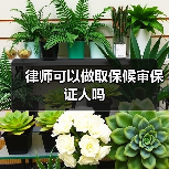 律师可以做取保候审保证人吗(图3) 律师可以做取保候审保证人吗(图3)