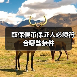 取保候审保证人必须符合哪些条件(图2) 取保候审保证人必须符合哪些条件(图2)
