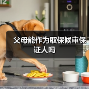 父母能作为取保候审保证人吗（图2）