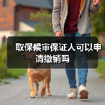 取保候审保证人可以申请撤销吗（图1）