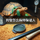 拘留怎么保释保证人（图2）