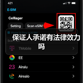 保证人承诺有法律效力吗（图4）