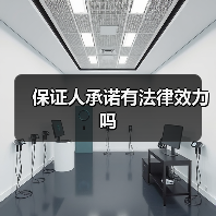 保证人承诺有法律效力吗（图2）