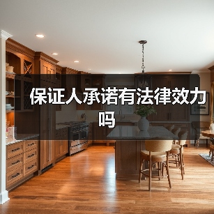 保证人承诺有法律效力吗（图4）