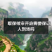 取保候审开庭需要保证人到场吗（图4）