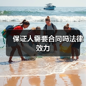 保证人需要合同吗法律效力（图4）