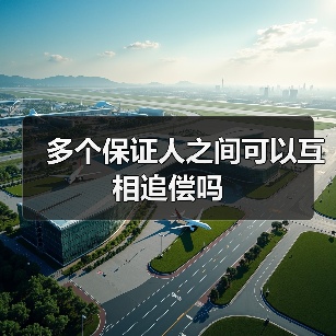 多个保证人之间可以互相追偿吗（图3）