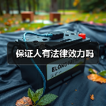 保证人有法律效力吗（图2）