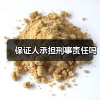 保证人承担刑事责任吗(图1) 保证人承担刑事责任吗(图1)