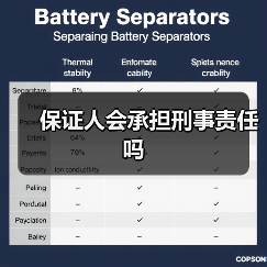 保证人会承担刑事责任吗（图1）