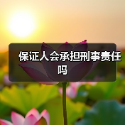 保证人会承担刑事责任吗（图2）
