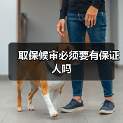 取保候审必须要有保证人吗（图1）