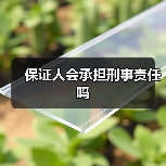 保证人会承担刑事责任吗（图3）