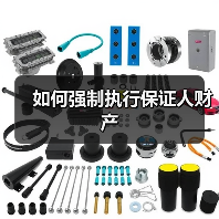 如何强制执行保证人财产（图1）