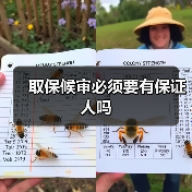 取保候审必须要有保证人吗（图4）