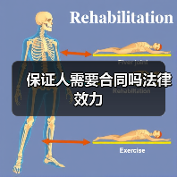 保证人需要合同吗法律效力（图4）