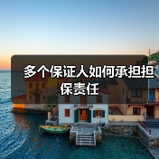 多个保证人如何承担担保责任（图1）