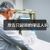 原告只起诉的保证人吗(图1) 原告只起诉的保证人吗(图1)