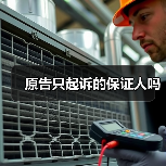 原告只起诉的保证人吗(图3) 原告只起诉的保证人吗(图3)