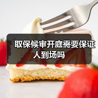 取保候审开庭需要保证人到场吗（图4）